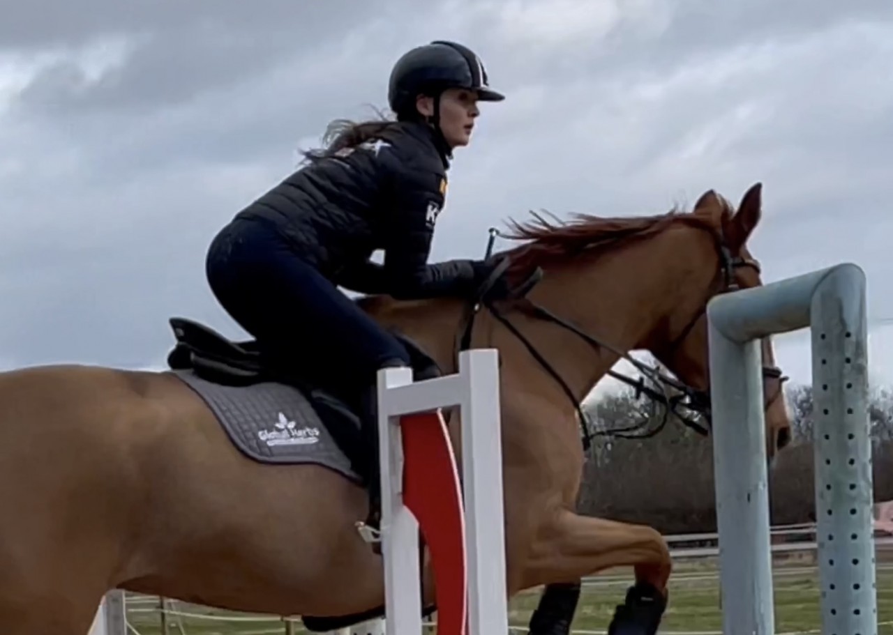 How to handle sore muscles when showjumping - Pulse Roll